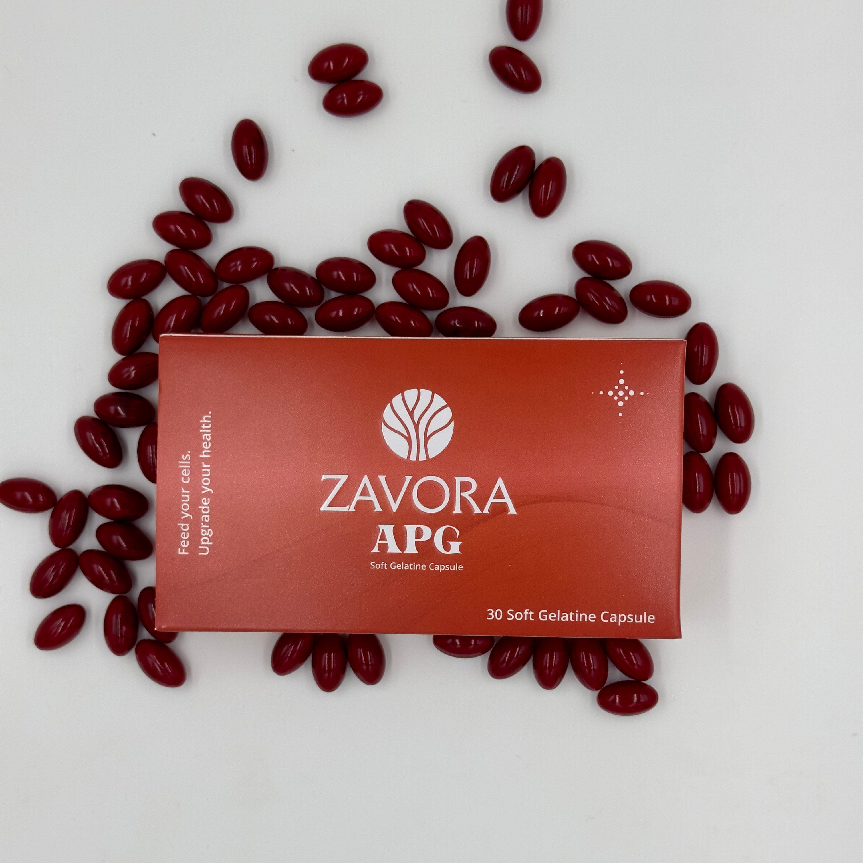 Zavora APG
